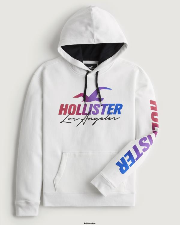 sweat à capuche à logo imprimé Hommes blanc Hollister hauts RRRJX935